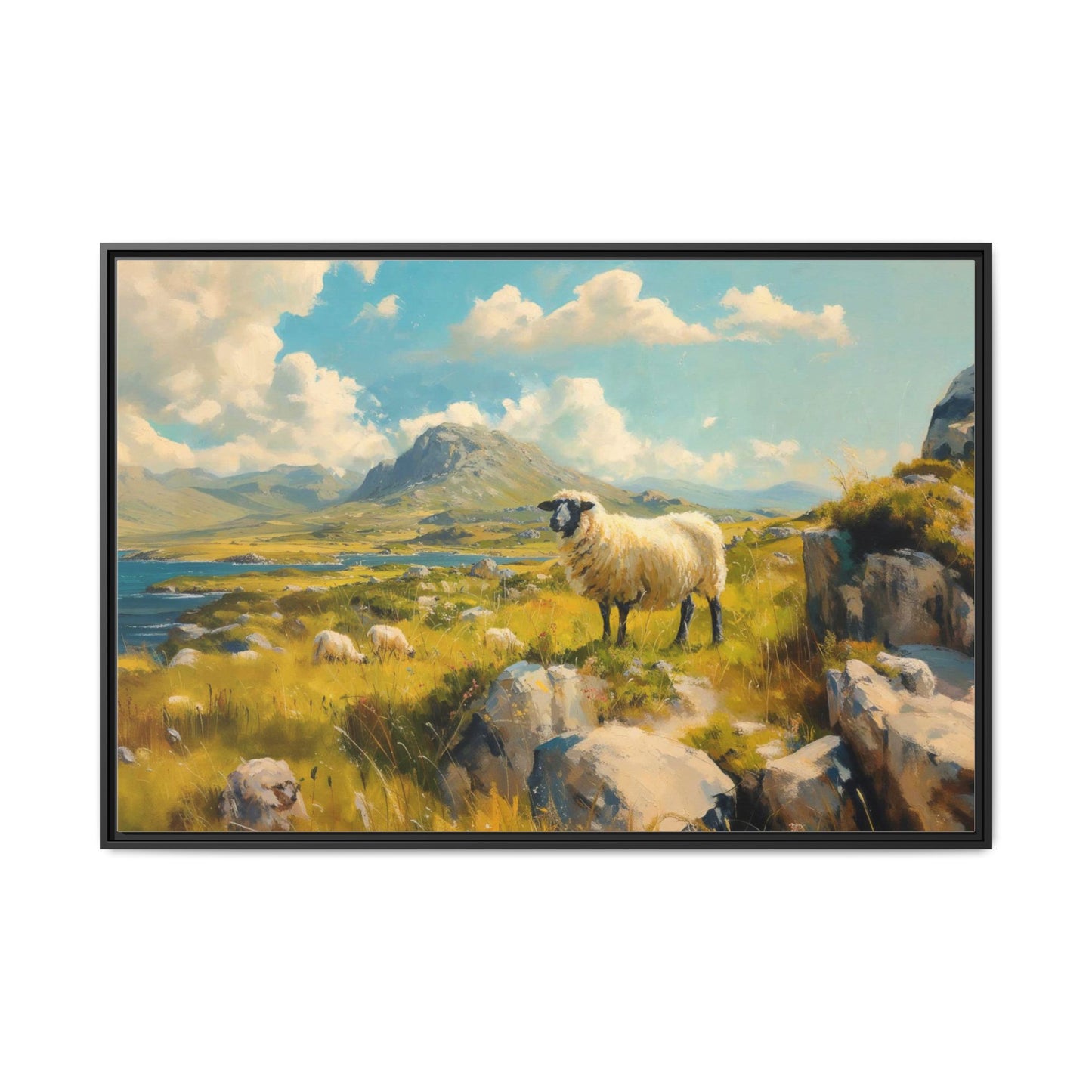 Black Faced Sheep on Hill