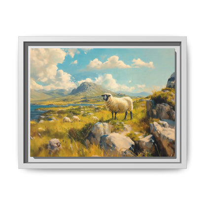 Black Faced Sheep on Hill