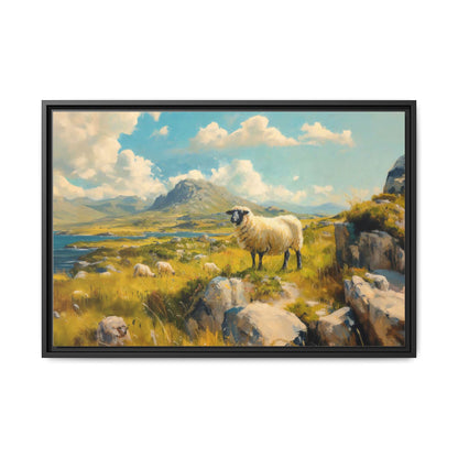 Black Faced Sheep on Hill