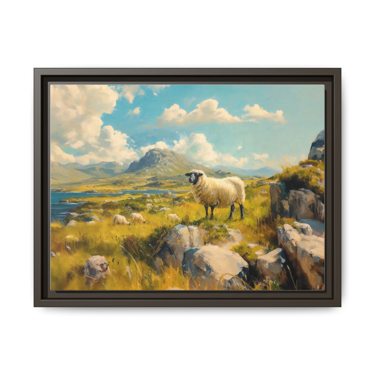 Black Faced Sheep on Hill