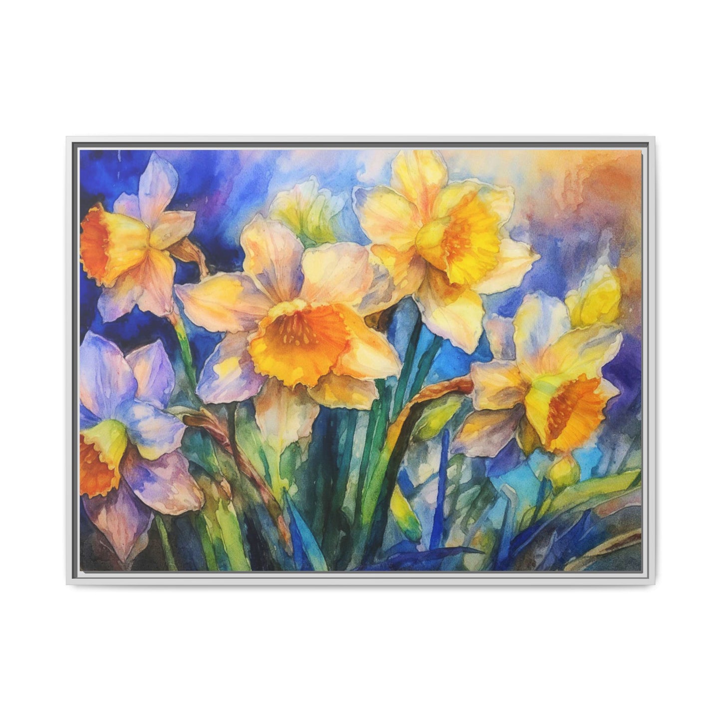 Daffodils