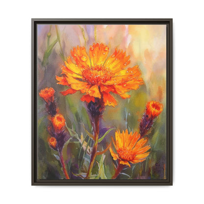 Orange Hawkbit Flower