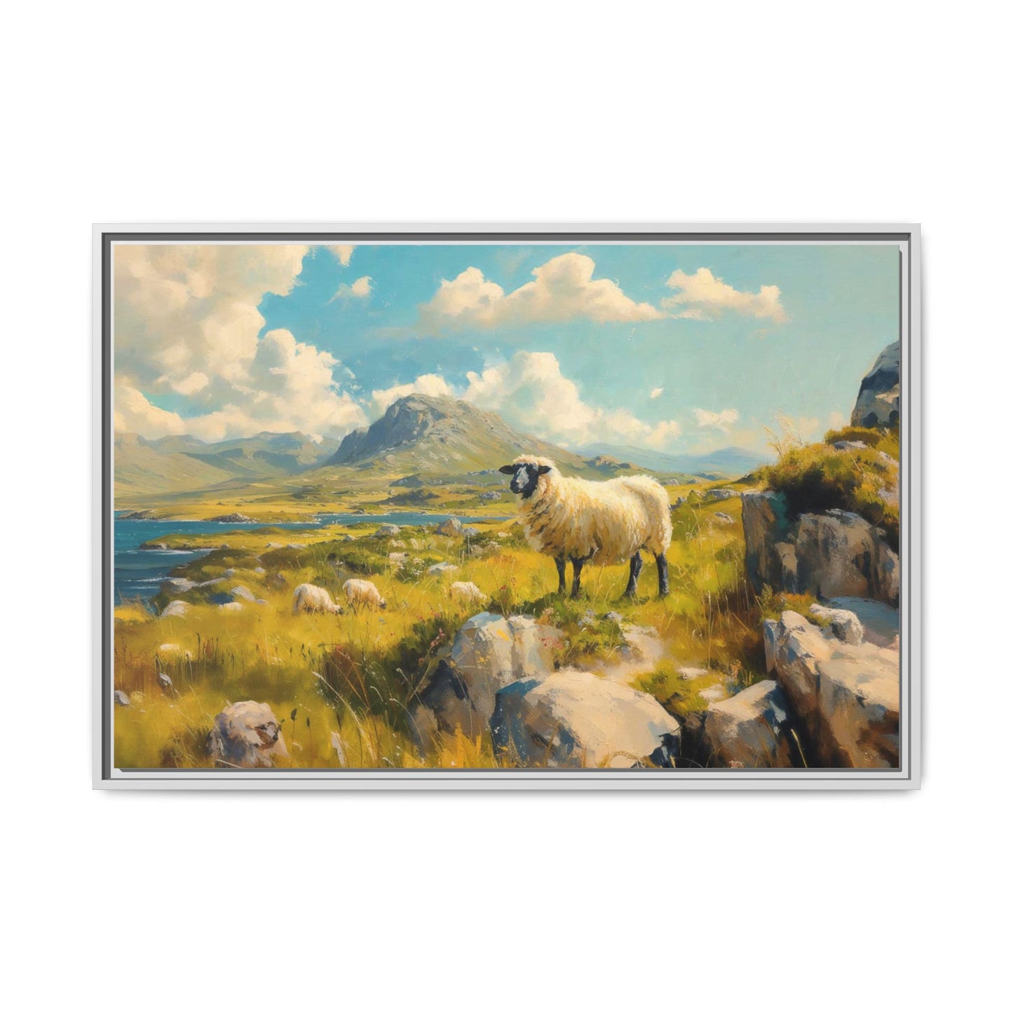 Black Faced Sheep on Hill