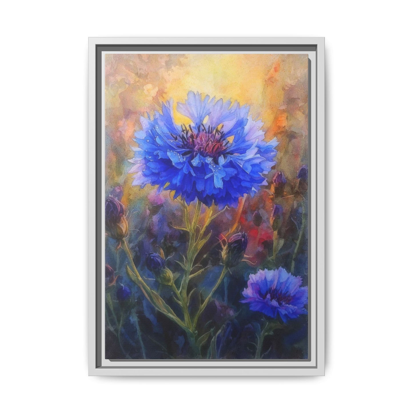 Wild Blue Cornflower