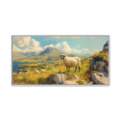 Black Faced Sheep on Hill