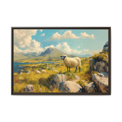 Black Faced Sheep on Hill