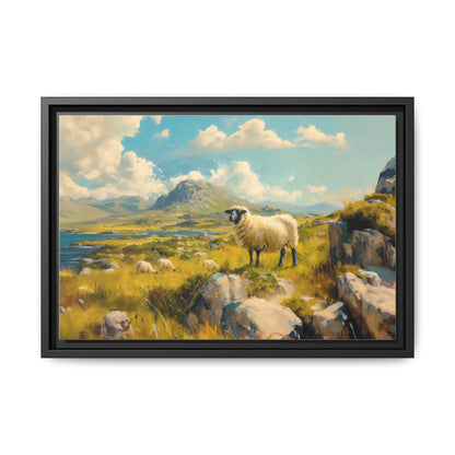 Black Faced Sheep on Hill