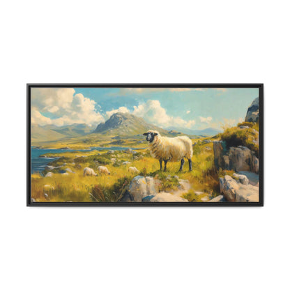 Black Faced Sheep on Hill