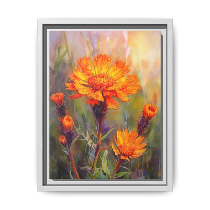 Orange Hawkbit Flower