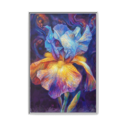 Fading Blue Iris