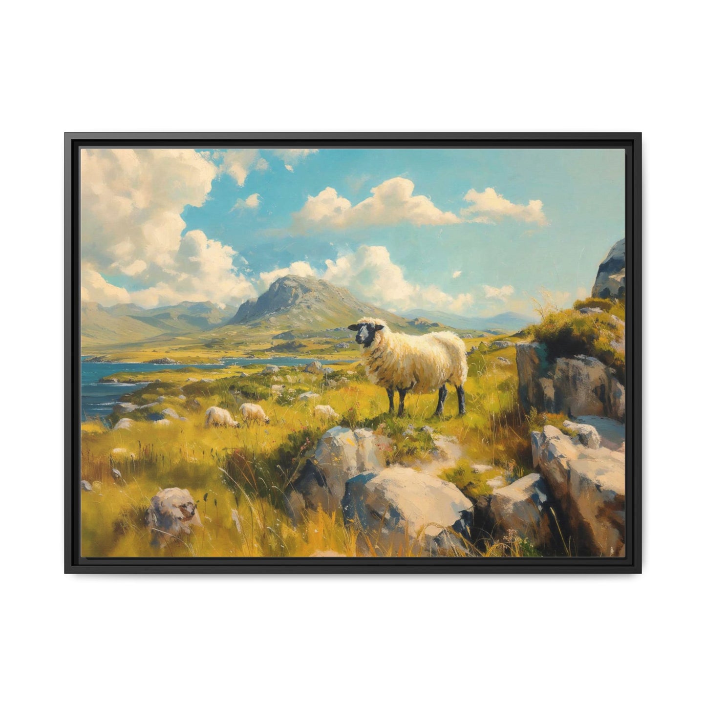 Black Faced Sheep on Hill