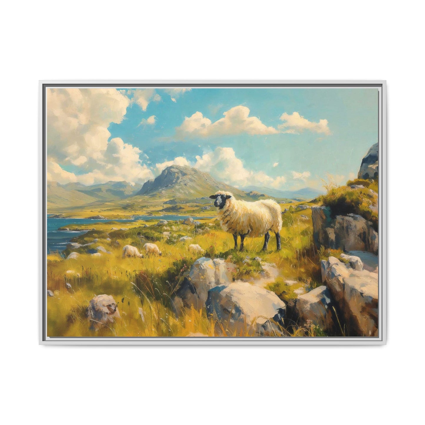 Black Faced Sheep on Hill