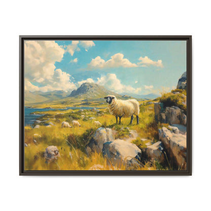 Black Faced Sheep on Hill