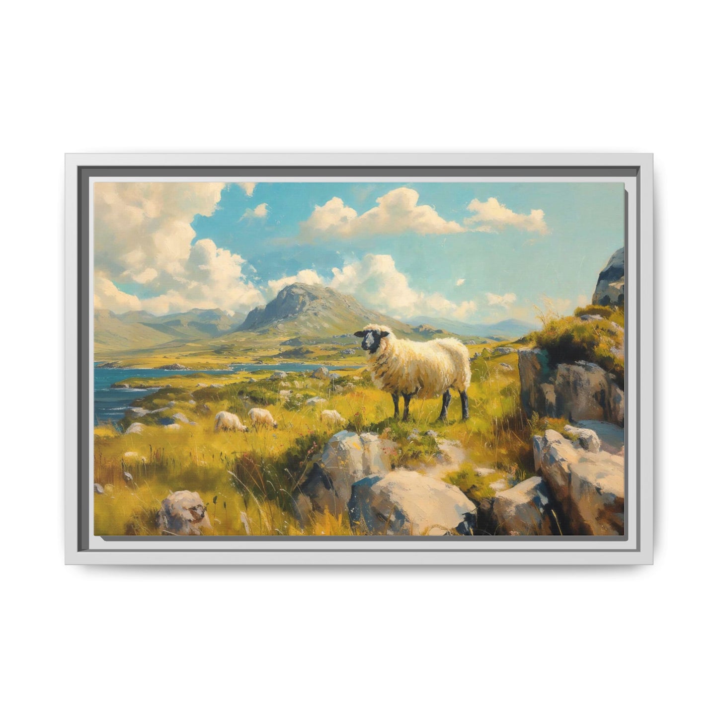 Black Faced Sheep on Hill