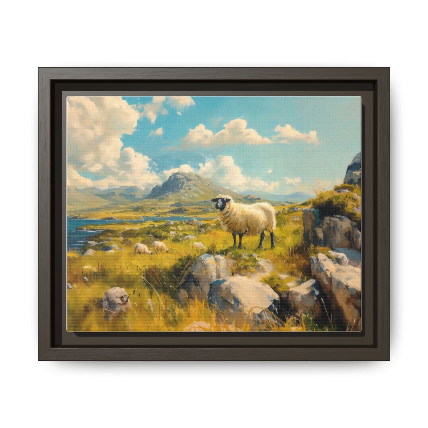 Black Faced Sheep on Hill