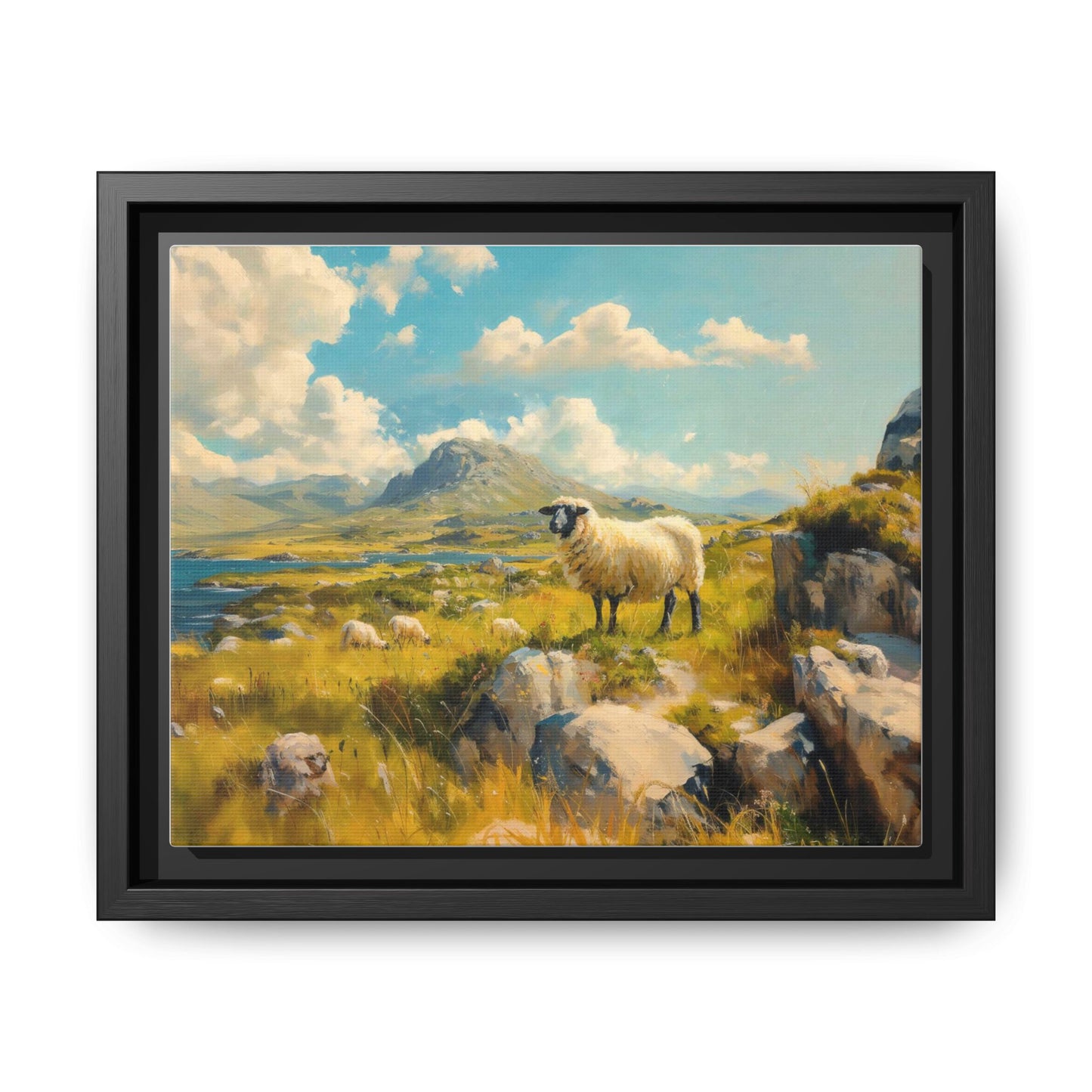 Black Faced Sheep on Hill