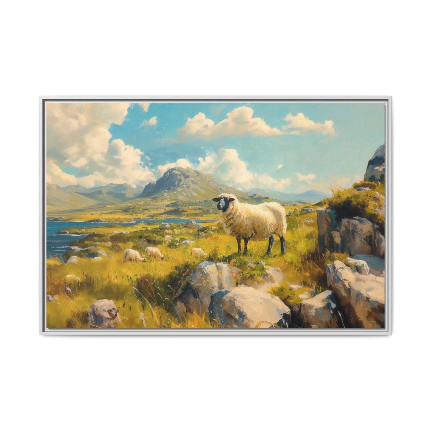 Black Faced Sheep on Hill