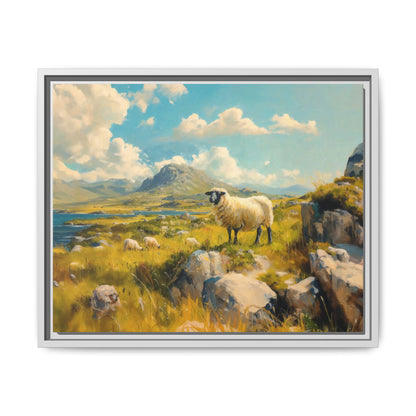 Black Faced Sheep on Hill