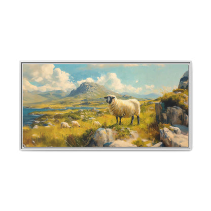 Black Faced Sheep on Hill