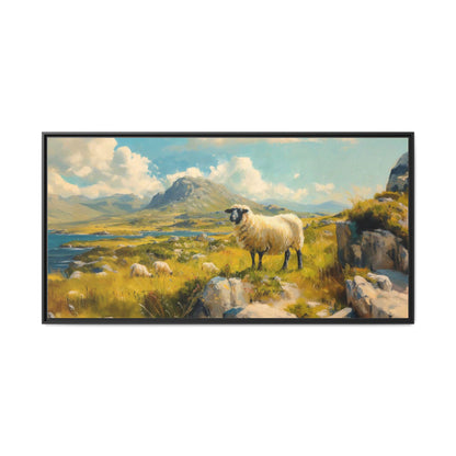 Black Faced Sheep on Hill