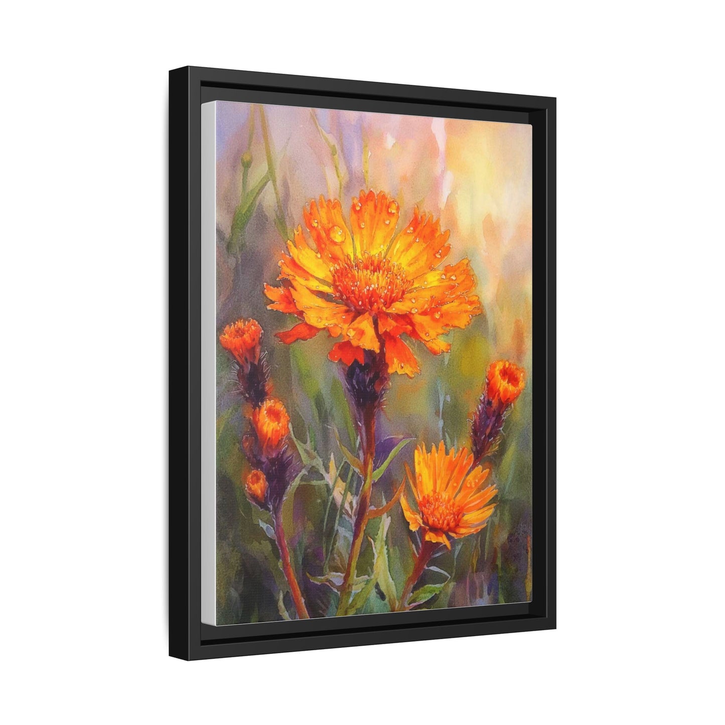 Orange Hawkbit Flower