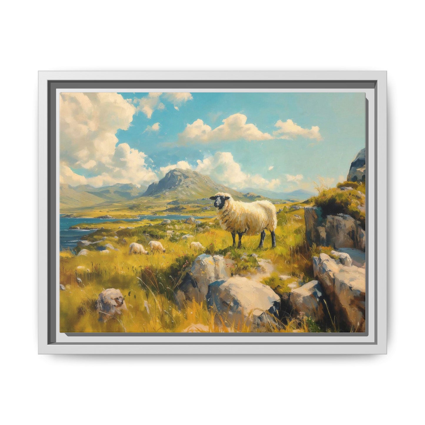 Black Faced Sheep on Hill