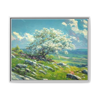 White Thorn on A Hill