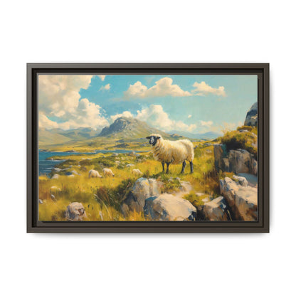 Black Faced Sheep on Hill