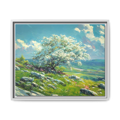 White Thorn on A Hill