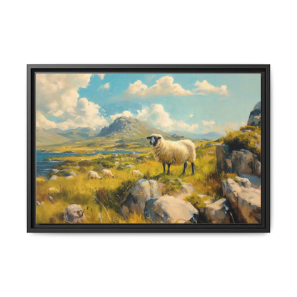 Black Faced Sheep on Hill