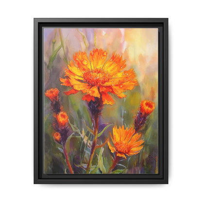 Orange Hawkbit Flower