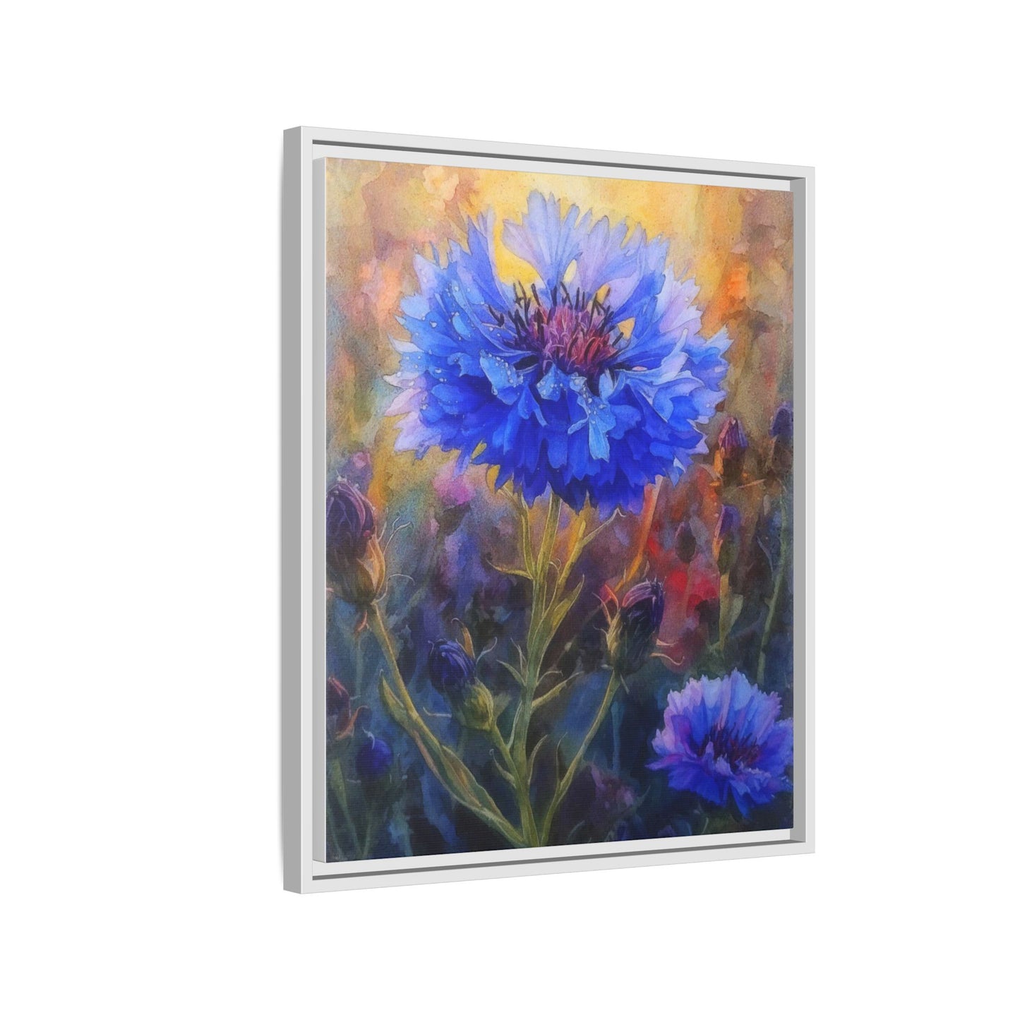 Wild Blue Cornflower