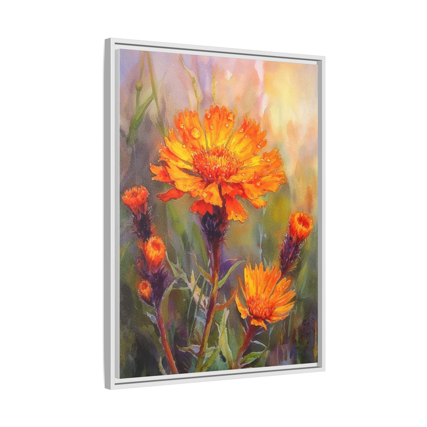 Orange Hawkbit Flower