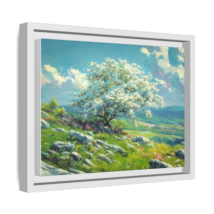 White Thorn on A Hill