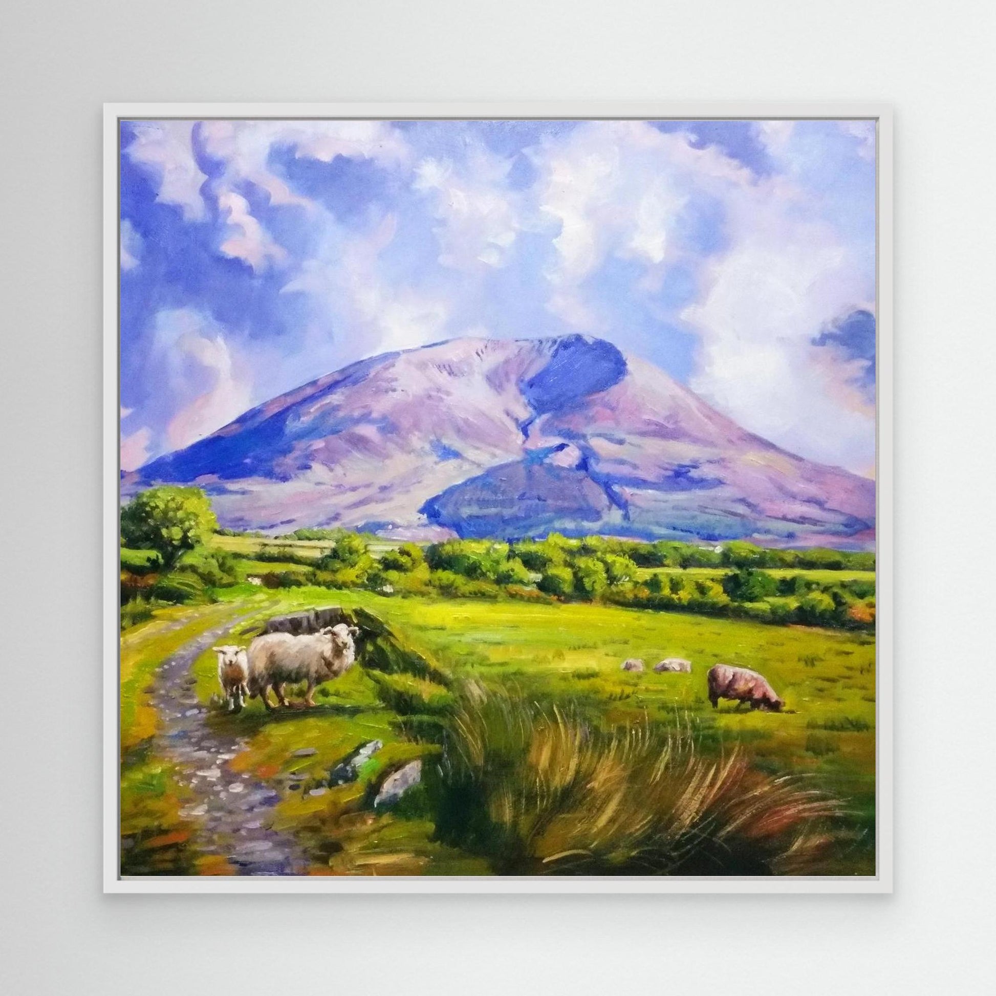 Nephin Mountain With Sheep